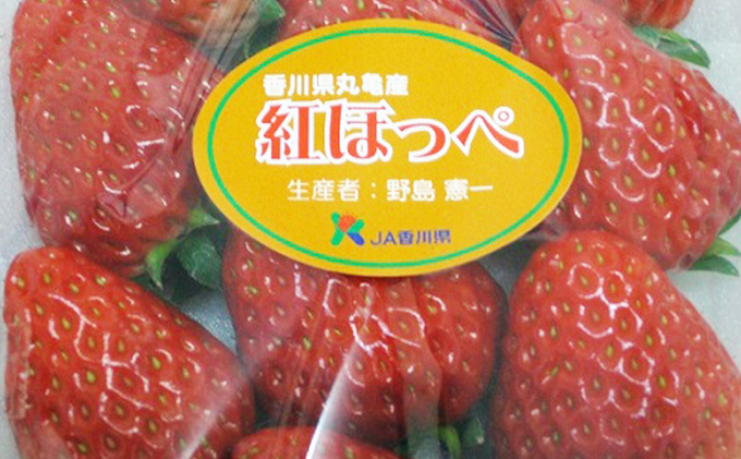 いちご 紅ほっぺ 4パック 丸亀産 フルーツ 果物 デザート おやつ 旬 産地直送 旬の果物 旬のフルーツ お取り寄せ 取り寄せ 送料無料 冷蔵 冷蔵配送 イチゴ 苺 香川 香川県 丸亀市 11月下旬発送開始