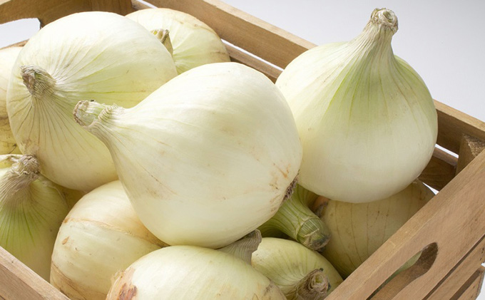 新玉ねぎ　約20kg