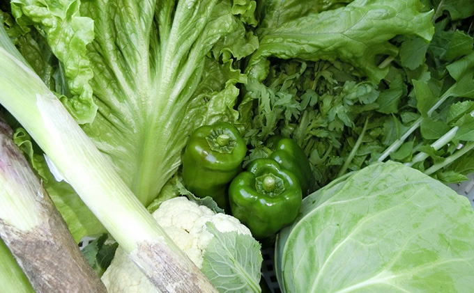 【定期便3回】春夏秋冬 丸亀の［冬お野菜セット］