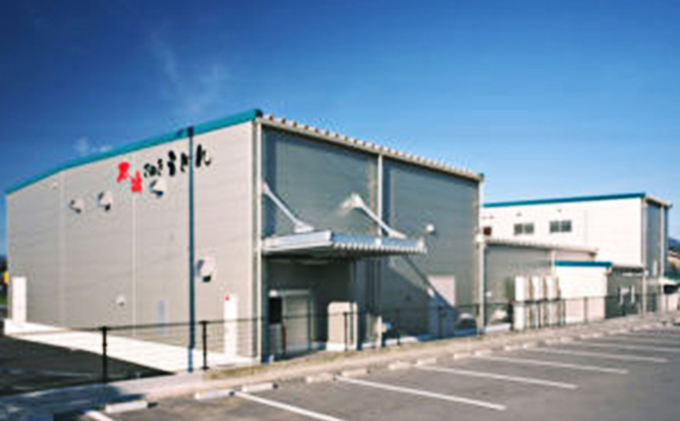 香川屋 讃岐 パスタ 12人前 ソース 付 セット ミートソース ナポリタンソース 食べ比べ 個包装 スパゲッティ 麺 ゆで レトルト レンジ