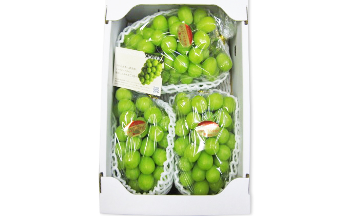 ハウスシャインマスカット　約2kg