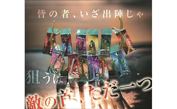 武田信玄　戦国系ゴルフティーホルダー～戦～ ストラップ キーホルダー