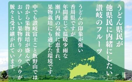 フルーツ 定期便 12ヶ月 城下町の果実 百果繚乱 セット 詰め合わせ いちご みかん デコポン はっさく びわ 桃 ピオーネ 梨 シャインマスカット ゴールドキウイ 柿 富有柿 さぬきひめ せとか 果物 12回 1年 お楽しみ 香川