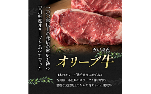 牛肉 味噌漬け オリーブ牛 ロース ヒレ 100g 各1個 200g 味付け肉 牛 お肉 肉 味付き 小分け ブランド牛 焼肉 焼き肉 焼肉用 バーベキュー BBQ ギフト プレゼント 贈答 贈答用 贈答品 贈り物 惣菜 おかず 高級 食材 冷凍 冷凍配送 香川県 丸亀市