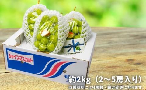おひさまがきらめく瀬戸内育ち！シャインマスカット 約2kg 	