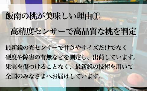 桃 讃州丸亀 飯南の桃 約4kg 11玉～14玉 特秀品クラス 贈答箱 フルーツ 果物 くだもの もも モモ 白桃 香川