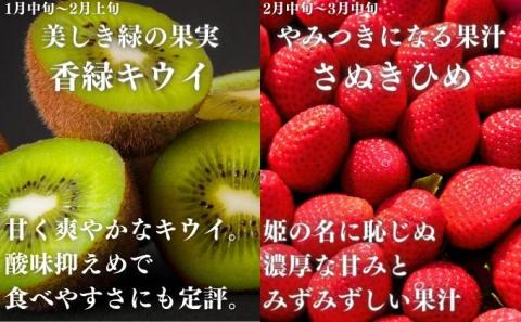 【旬のお届け】 丸亀フルーツ定期便 全9回 果物 フルーツ 定期便 キウイ いちご はっさく びわ 桃 ピオーネ シャインマスカット みかん セット お楽しみ 香川県 丸亀市