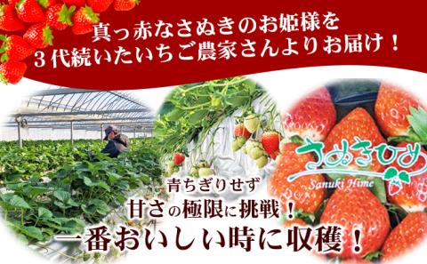 いちご 先行予約 朝採り さぬきひめ 250g × 4パック 丸亀産 フルーツ 果物 デザート おやつ 旬 産地直送 旬の果物 旬のフルーツ お取り寄せ 取り寄せ 冷蔵 冷蔵配送 2025 先行 予約 2025年 1月中旬以降発送開始