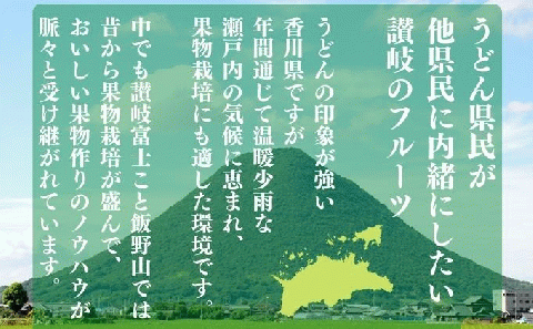 ハウスシャインマスカット　約2kg