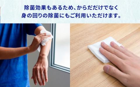 ウェットティッシュ 600枚 ( 本体 ＋ 詰め替え ) からだ用 高密封 バケツ セット ウェットシート ボディ ボディシート 汗拭きシート ノンアルコール 国産 日本製 大容量 災害 備蓄 ローリングストック 防災グッズ 備蓄用 日用品 消耗品 介護用品