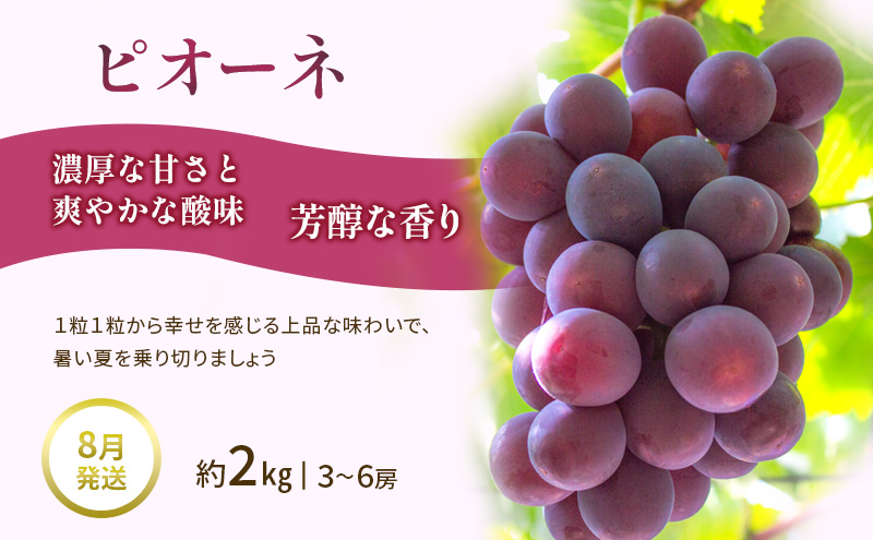 【夏にしか出逢えない丸亀自慢のフルーツ】 夏のフルーツ定期便 全3回 果物 フルーツ 定期便 桃 ピオーネ シャインマスカット セット お楽しみ 香川県 丸亀市