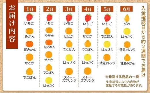 フルーツ 詰め合わせ セット 丸亀讃果 (1回便) 今が旬の厳選果実 旬のフルーツ 食べ比べ いちご みかん デコポン びわ 桃 梨 ぶどう 柿 キウイ 柑橘 柑橘類 果物 デザート おやつ 旬 産地直送 旬の果物 お取り寄せ 取り寄せ 送料無料 冷蔵 冷蔵配送 香川