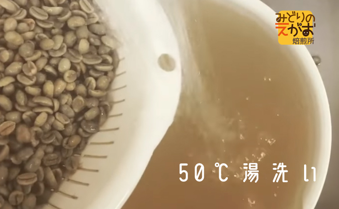 50度お湯洗い焙煎豆　ガラパゴス Jewels of Miconia