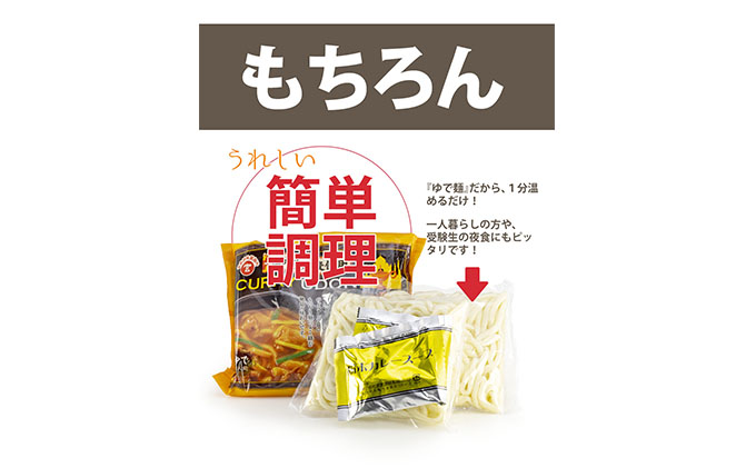 うどん 香川 王道 さぬきうどん ＆ コク旨 カレーうどん 詰め合わせ セット 宮武讃岐製麺所 丸亀からお届け 讃岐うどん 食べ比べ 麺 麺類 個包装 常温 常温保存 日持ち 備蓄 讃岐 香川県 丸亀 丸亀市
