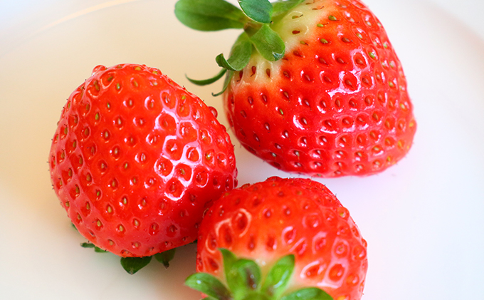 丸亀市産 ふるさとブランド【さぬきひめ250g×8パック（約2.0kg）市場直送