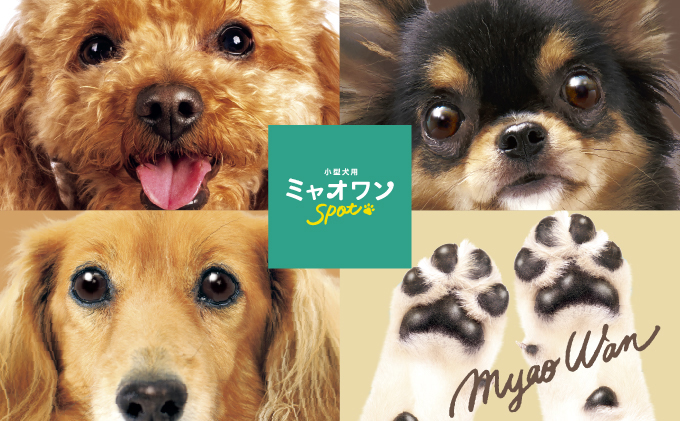 デンタルシート ペット用 歯磨き用 ウェットティッシュ 10枚入×40個 ミャオワンSpot 小型犬用 ペット用品 ペット 犬 猫 デンタル シート 歯磨き 歯磨きシート 口腔ケア 口腔ケアシート 日用品 消耗品 生活用品 香川