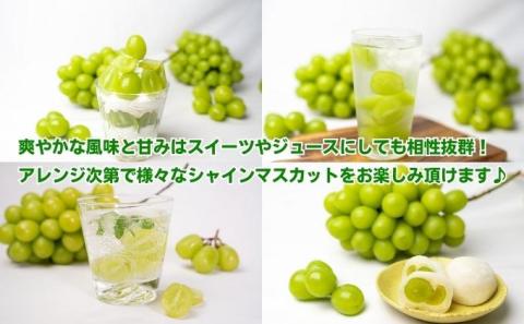 シャインマスカット　1房　化粧箱
