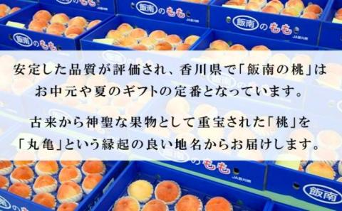 桃 讃州丸亀 飯南の桃 約4kg 11玉～14玉 特秀品クラス 贈答箱 フルーツ 果物 くだもの もも モモ 白桃 香川