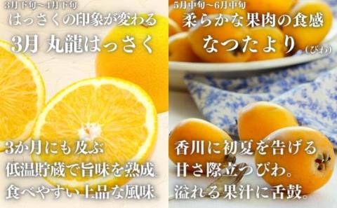 【旬のお届け】 丸亀フルーツ定期便 全9回 果物 フルーツ 定期便 キウイ いちご はっさく びわ 桃 ピオーネ シャインマスカット みかん セット お楽しみ 香川県 丸亀市