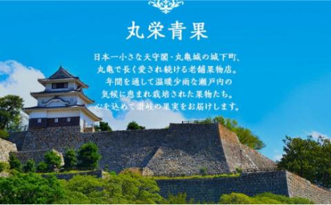 みかん のどかな讃岐路で育った 温州みかん 約 5kg フルーツ 果物 柑橘 柑橘類 デザート おやつ 旬 産地直送 冬の味覚 旬の果物 旬のフルーツ お取り寄せ 取り寄せ 送料無料 香川 11月中旬以降発送開始