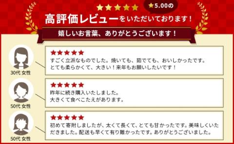 なんと長さは約50センチ！さぬきのめざめ（春芽）10束 アスパラガス 期間限定