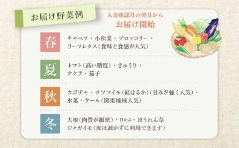 野菜 詰め合わせ 定期便 よしむら農園 オーガニックおまかせ野菜セット/2回定期便 野菜 詰め合わせ オーガニック おまかせ セット 一人暮らし 野菜炒め 無添加 旬 有機栽培 JAS 新鮮