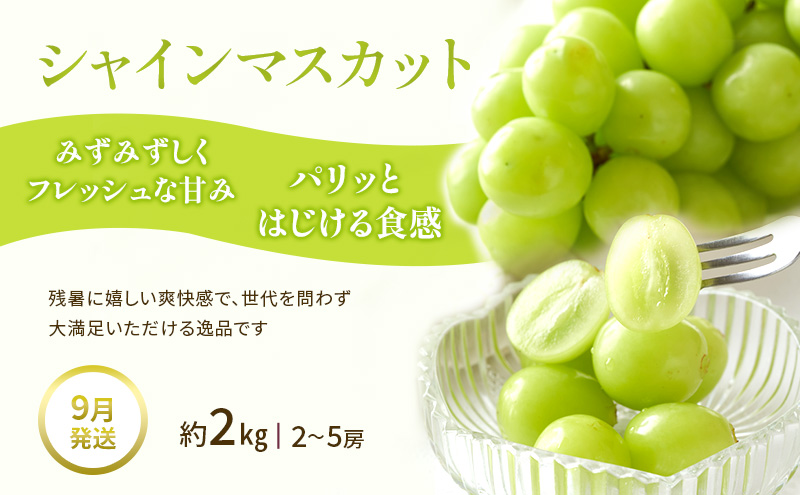 【夏にしか出逢えない丸亀自慢のフルーツ】 夏のフルーツ定期便 全3回 果物 フルーツ 定期便 桃 ピオーネ シャインマスカット セット お楽しみ 香川県 丸亀市