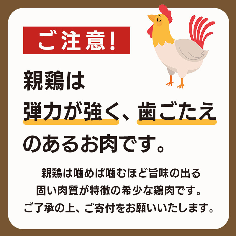 骨付鳥 親 5本 セット 国産 鶏もも 肉 冷凍 骨付き鳥 骨付き鶏 鶏肉 もも 簡単 おかず 惣菜 チキン 焼き鳥 焼鳥 鶏 親鳥 とりにく ご当地 グルメ 冷凍配送 キャンプ バーベキュー BBQ アウトドア クリスマス 香川県 香川 丸亀 丸亀市
