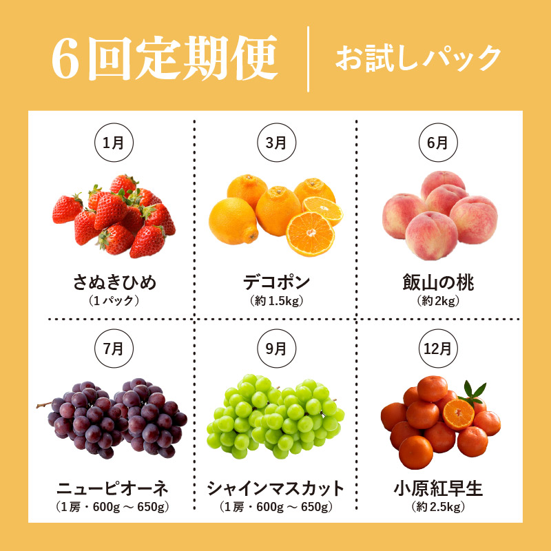 【定期便6回】 【お試しパック】 フルーツ 果物 定期便  お試しパック ミニ いちご 桃 シャインマスカット デコポン ピオーネ みかん 小原紅早生 苺 さぬきひめ もも 飯山の桃 ニューピオーネ 飯山 詰め合わせ 旬のフルーツ 旬 ギフト フルーツ定期便 果物定期 果物定期便 人気果物 豪果絢爛 香川県 丸亀市