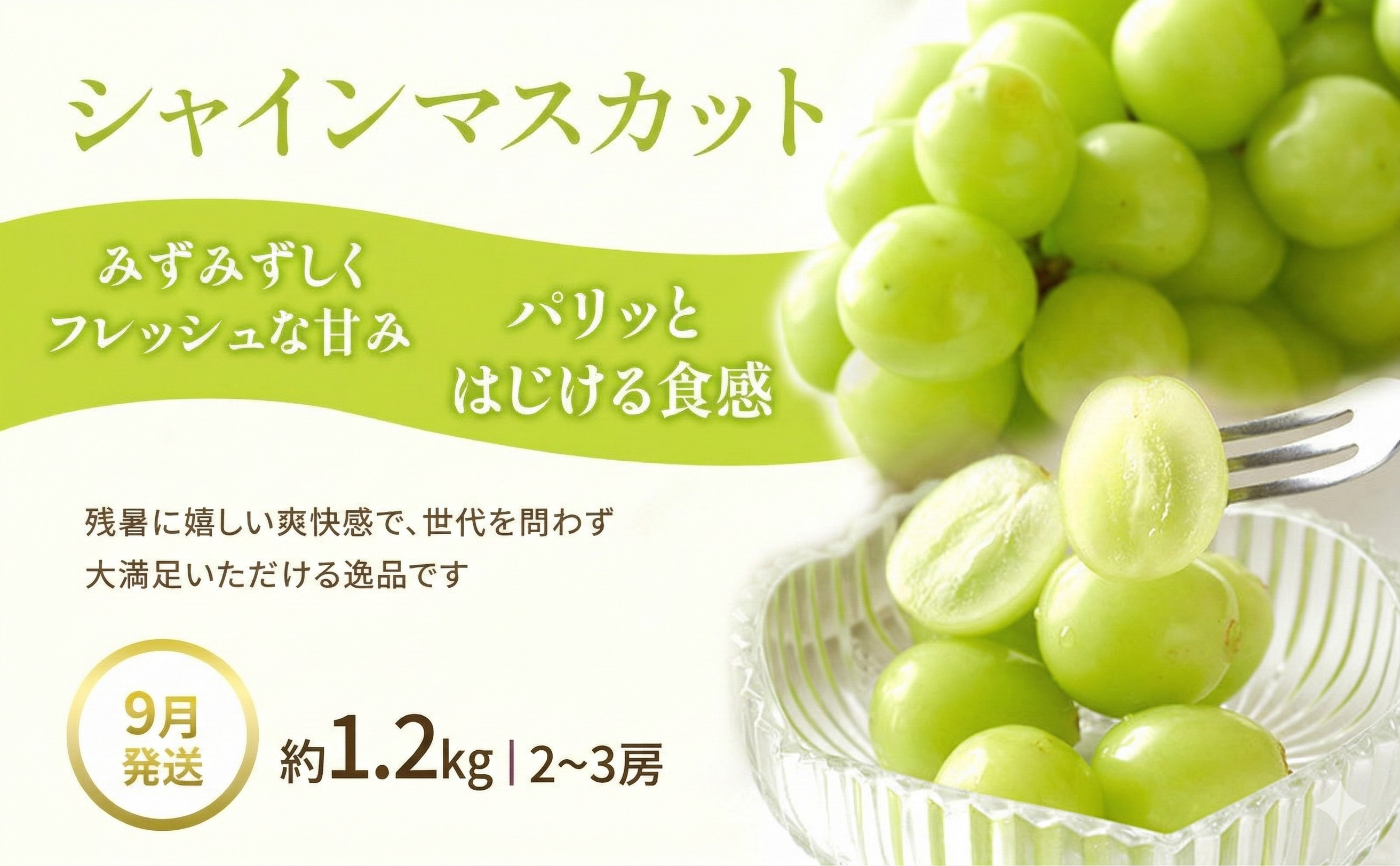 【夏にしか出逢えない丸亀自慢のフルーツ】 夏のフルーツ定期便 全3回 果物 フルーツ 定期便 桃 ピオーネ シャインマスカット セット お楽しみ 香川県 丸亀市