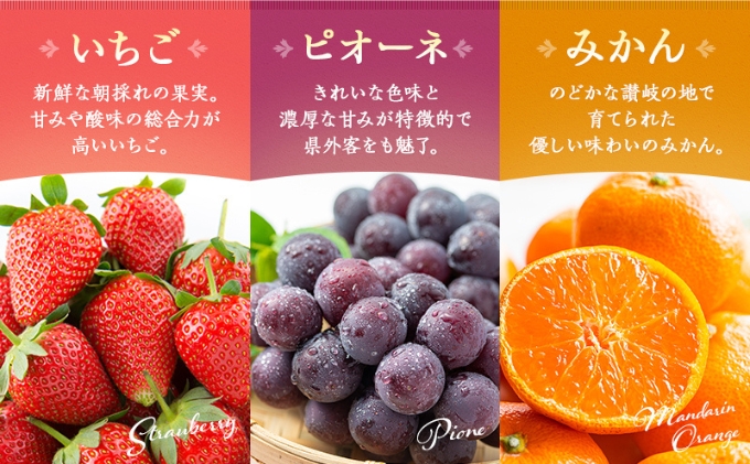 フルーツ 定期便 12ヶ月 丸亀讃美果 セット 詰め合わせ 桃 シャインマスカット いちご ピオーネ みかん 旬の果物 旬のフルーツ 果物 くだもの 紅みかん せとか 清見オレンジ キウイフルーツ キウイ 12回 1年 お楽しみ 香川