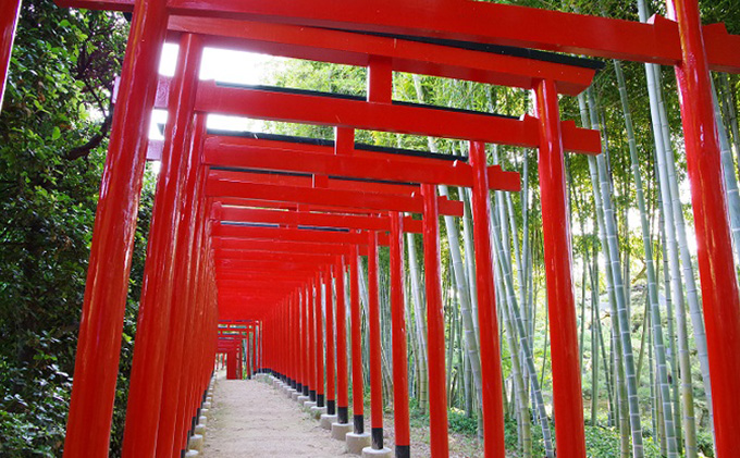中津万象園入園・丸亀美術館入館・懐風亭「京極御膳」セット（ペアチケット）