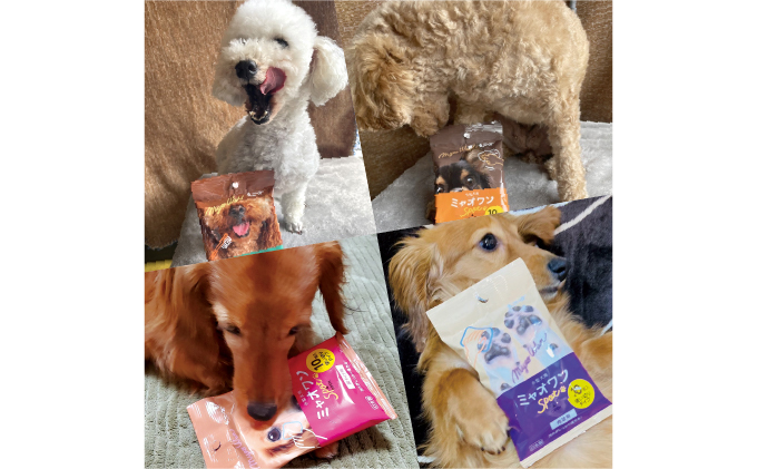 デンタルシート ペット用 歯磨き用 ウェットティッシュ 10枚入×40個 ミャオワンSpot 小型犬用 ペット用品 ペット 犬 猫 デンタル シート 歯磨き 歯磨きシート 口腔ケア 口腔ケアシート 日用品 消耗品 生活用品 香川