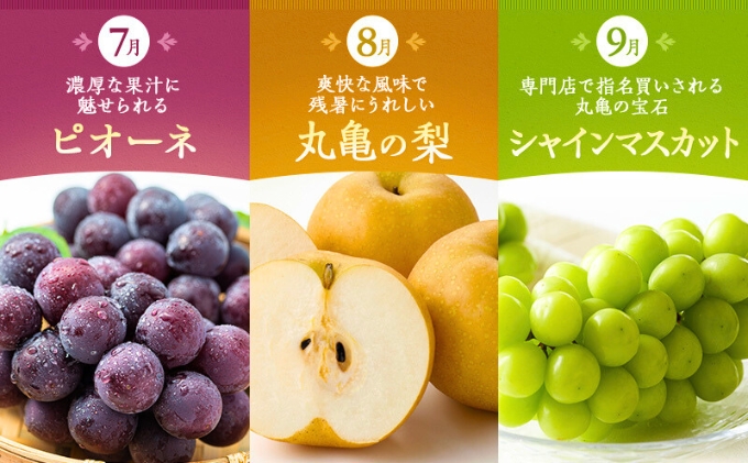 フルーツ 定期便 12ヶ月 数量限定 城下町の果実 豪果絢爛 セット 詰め合わせ いちご みかん デコポン はっさく びわ 桃 ピオーネ 梨 シャインマスカット ゴールドキウイ 柿 富有柿 せとか 旬のフルーツ 果物 12回 1年 お楽しみ 香川