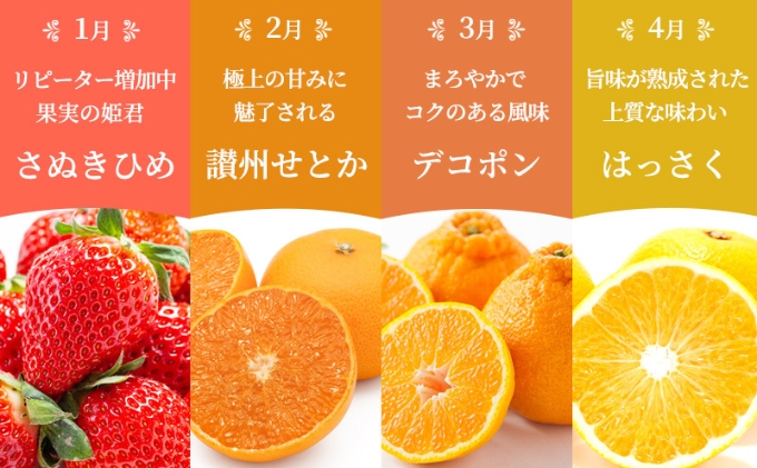 フルーツ 定期便 12ヶ月 城下町の果実 百果繚乱 セット 詰め合わせ いちご みかん デコポン はっさく びわ 桃 ピオーネ 梨 シャインマスカット ゴールドキウイ 柿 富有柿 さぬきひめ せとか 果物 12回 1年 お楽しみ 香川