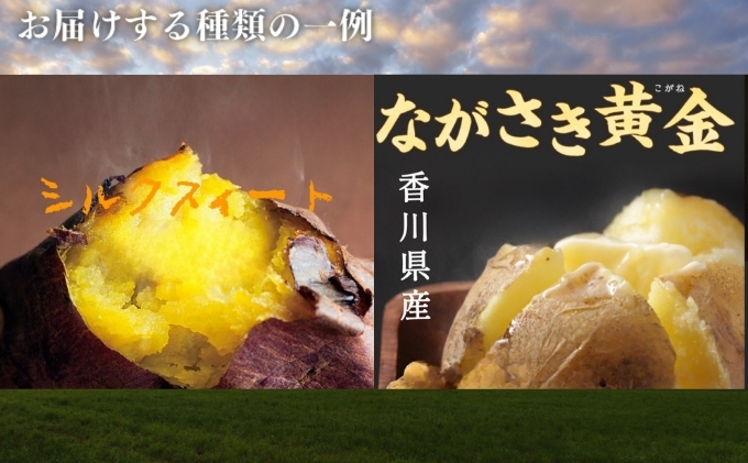 のどかな讃岐平野で育てた 旬の野菜 詰め合わせセット　今が旬 健康 野菜ボックス ヘルシー食材