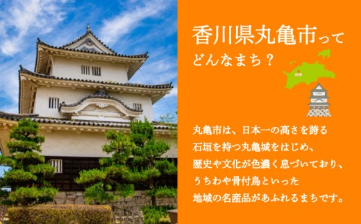 【2027年2月上旬から発送】 いちご 紅ほっぺ 1kg 250g×4パック 丸亀産 フルーツ 果物 おやつ 旬 産地直送 旬の果物 旬のフルーツ お取り寄せ 冷蔵 くだもの イチゴ デザート スイーツ 果汁 甘い ふるさと納税いちご ふるさと納税フルーツ 国産 香川県 丸亀市 約250g×4パック