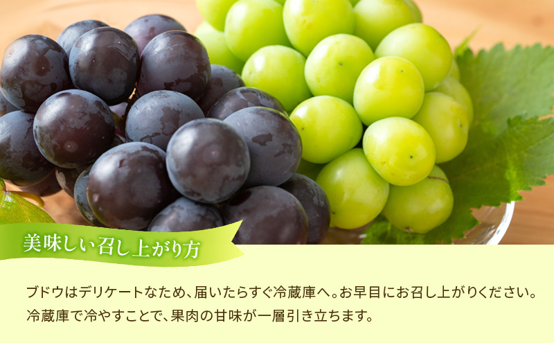 【夏にしか出逢えない丸亀自慢のフルーツ】 夏のフルーツ定期便 全3回 果物 フルーツ 定期便 桃 ピオーネ シャインマスカット セット お楽しみ 香川県 丸亀市