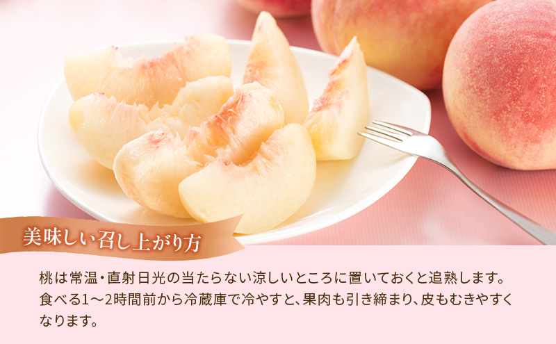 【夏にしか出逢えない丸亀自慢のフルーツ】 夏のフルーツ定期便 全3回 果物 フルーツ 定期便 桃 ピオーネ シャインマスカット セット お楽しみ 香川県 丸亀市