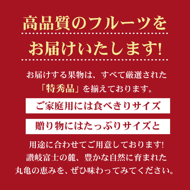 【定期便12回】 【お試しパック】 フルーツ 果物 定期便 いちご 桃 シャインマスカット デコポン ピオーネ みかん はっさく びわ 梨 キウイ 柿 さぬきゴールドキウイ 八朔 小原紅早生 苺 さぬきひめ もも ニューピオーネ 旬 ギフト フルーツ定期便 果物定期 果物定期便 香川県 丸亀市