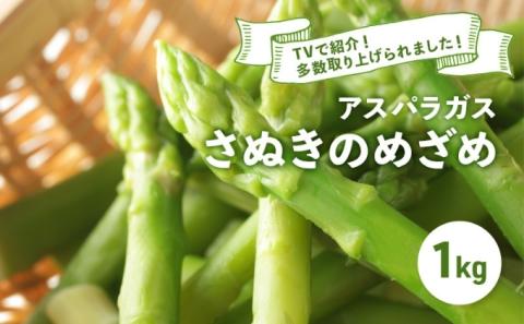 アスパラガス さぬきのめざめ 春芽 1kg アスパラ グリーンアスパラ 野菜 旬 旬の野菜 季節の野菜 産地直送 香川 香川県 丸亀 丸亀市 冷蔵 冷蔵配送 先行 予約 先行予約 2026 2026年 3月以降発送開始