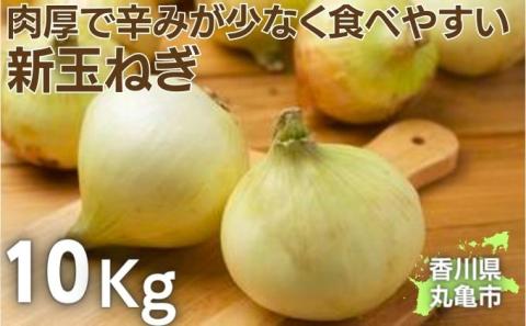 丸亀産　新玉ねぎ　10kg