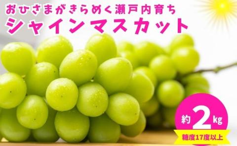 おひさまがきらめく瀬戸内育ち！シャインマスカット 約2kg 	