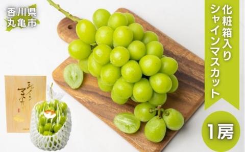 シャインマスカット　1房　化粧箱