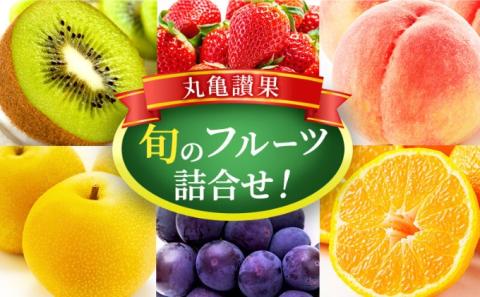 フルーツ 詰め合わせ セット 丸亀讃果 (1回便) 今が旬の厳選果実 旬のフルーツ 食べ比べ いちご みかん デコポン びわ 桃 梨 ぶどう 柿 キウイ 柑橘 柑橘類 果物 デザート おやつ 旬 産地直送 旬の果物 お取り寄せ 取り寄せ 送料無料 冷蔵 冷蔵配送 香川