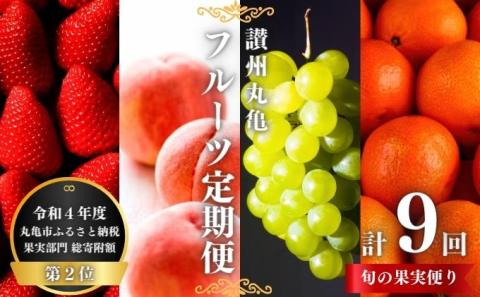 【旬のお届け】 丸亀フルーツ定期便 全9回 果物 フルーツ 定期便 キウイ いちご はっさく びわ 桃 ピオーネ シャインマスカット みかん セット お楽しみ 香川県 丸亀市