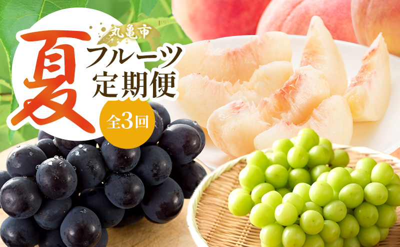 【夏にしか出逢えない丸亀自慢のフルーツ】 夏のフルーツ定期便 全3回 果物 フルーツ 定期便 桃 ピオーネ シャインマスカット セット お楽しみ 香川県 丸亀市