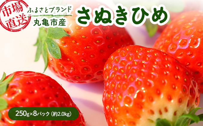 丸亀市産 ふるさとブランド【さぬきひめ250g×8パック（約2.0kg）市場直送