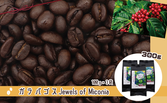 50度お湯洗い焙煎豆　ガラパゴス Jewels of Miconia