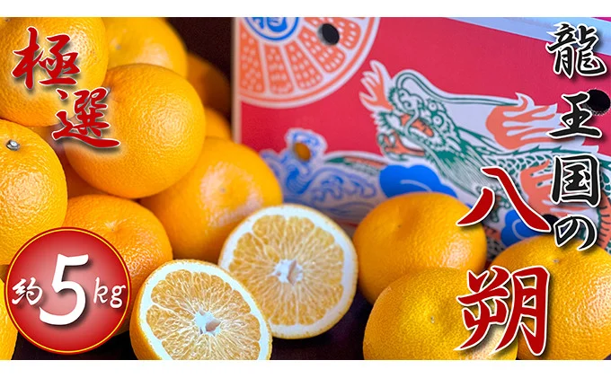 【2026年3月中旬より順次発送】【極選】龍王国の八朔 約5kg はっさく ハッサク 柑橘 果物 フルーツ 果実 みかん ふるさと納税みかん 美味しい 人気 旬のフルーツ 旬の果物 フルーツギフト 果物ギフト お取り寄せ 香川県 丸亀市